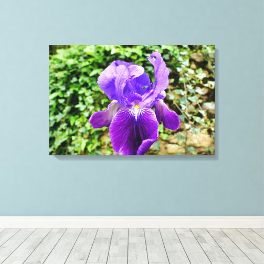 Gedekte Iris Canvas Afdruk (Insitu (Houten vloer))