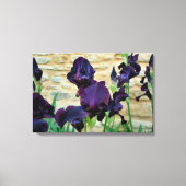 Gedekte Iris Canvas Afdruk (Voorkant)