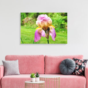 Gedekte Iris Canvas Afdruk