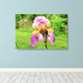 Gedekte Iris Canvas Afdruk (Insitu (Houten vloer))