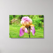 Gedekte Iris Canvas Afdruk (Voorkant)