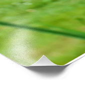 Gedekte Iris Foto Afdruk (Hoek)