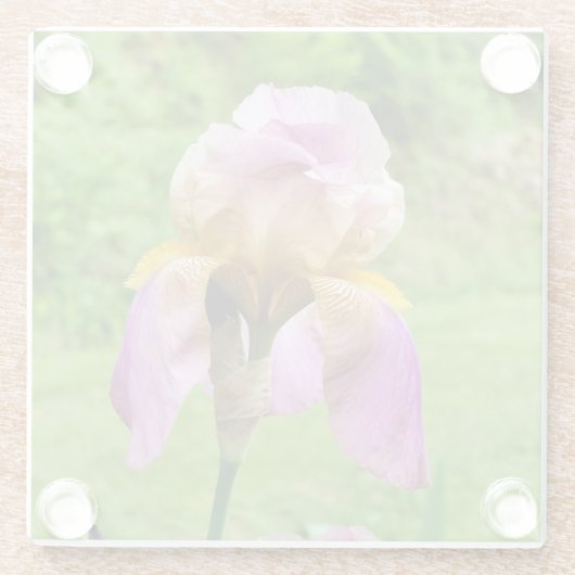 Gedekte Iris Glazen Onderzetter (Achterkant)