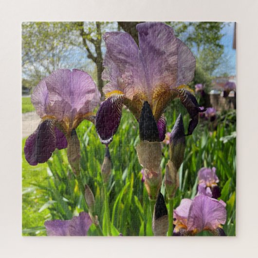Gedekte Iris Legpuzzel (Verticaal)