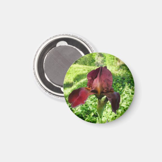 Gedekte Iris Magneet (Voorkant / Achterkant)