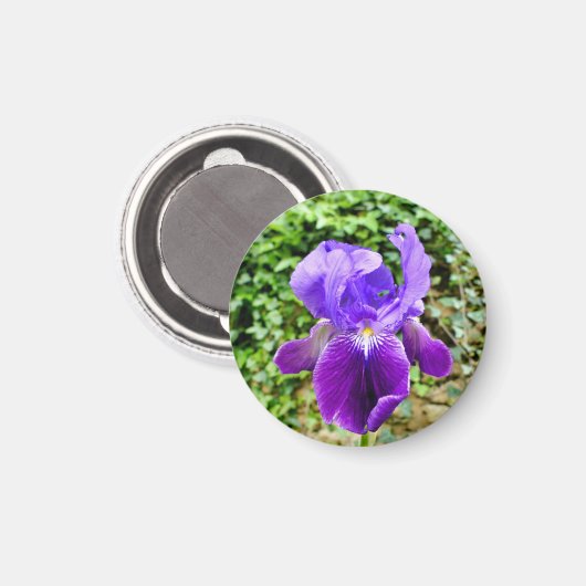 Gedekte Iris Magneet (Voorkant / Achterkant)