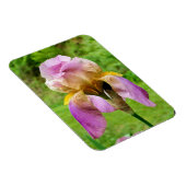 Gedekte Iris Magneet (Rechterzijde)