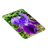 Gedekte Iris Magneet (Rechterzijde)