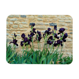 Gedekte Iris Magneet
