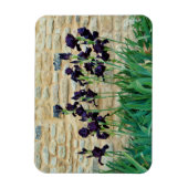 Gedekte Iris Magneet (Verticaal)