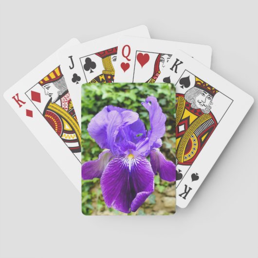 Gedekte Iris Pokerkaarten (Achterkant)