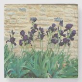 Gedekte Iris Stenen Onderzetter (Voorkant)