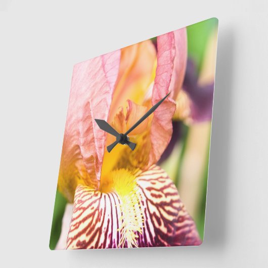 Gedekte Iris Vierkante Klok (Hoek)