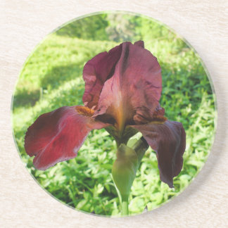 Gedekte Iris Zandsteen Onderzetter