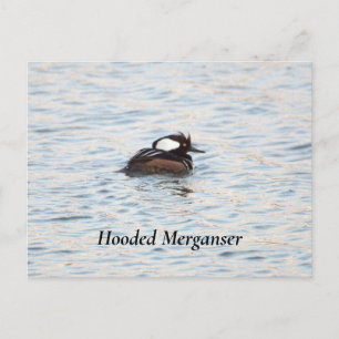 Gedekte Merganser Briefkaart