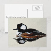 Gedekte merganser briefkaart (Voorkant / Achterkant)