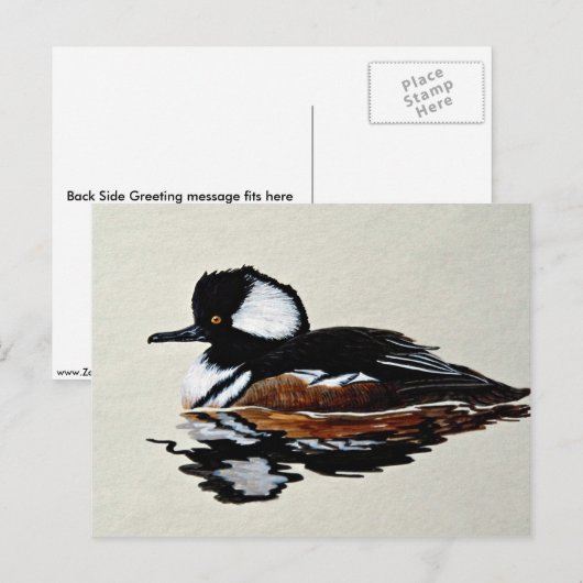 Gedekte merganser briefkaart (Voorkant / Achterkant)