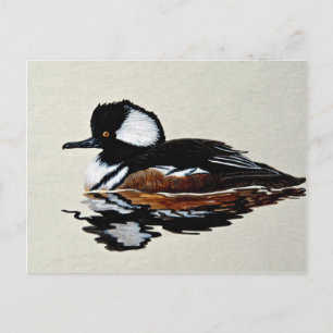 Gedekte merganser briefkaart