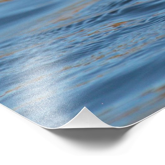 Gedekte Merganser Calling Foto Afdruk (Hoek)