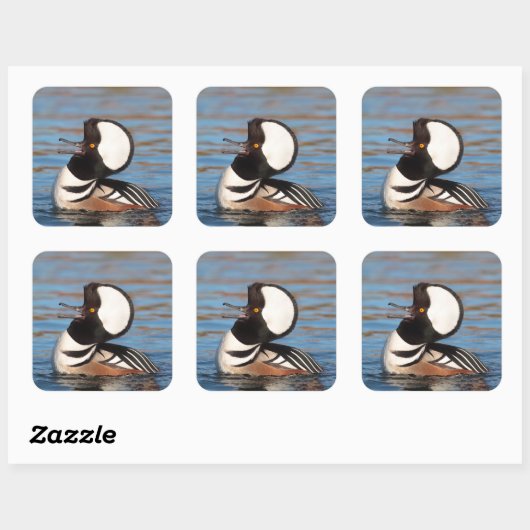 Gedekte Merganser Calling Vierkante Sticker (Vel)