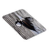 Gedekte Merganser Drake Magneet (Rechterzijde)