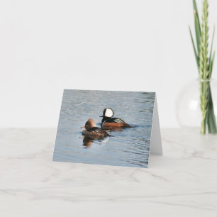 Gedekte Merganser Duck Foto gevouwen Note Kaart