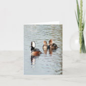 Gedekte Merganser Duck Foto gevouwen Note Kaart (Voorkant)