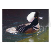 Gedekte Merganser Kaart (Voorkant Horizontaal)