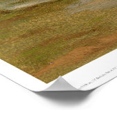 Gedekte Wagons van Bierstadt (0101A) Poster (Hoek)