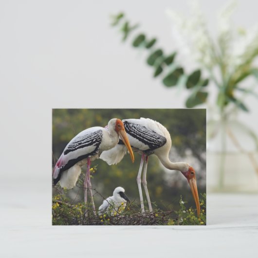 Gedekte winkels en jonge winkels op nest, Keoladeo Briefkaart (Staand voorkant)