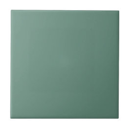Gedempte Elegantie Oceaan Teal Decorative Keramisc Tegeltje