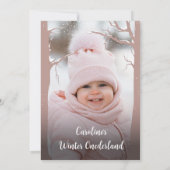 Gedempte kleuren Sneeuwbos Winter Nederland Foto Kaart (Achterkant)