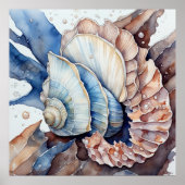 Gedempte rode en blauwe conch shell poster (Voorkant)