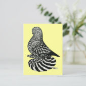 gedempte spattuimelduif briefkaart (Staand voorkant)