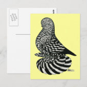 gedempte spattuimelduif briefkaart (Voorkant / Achterkant)