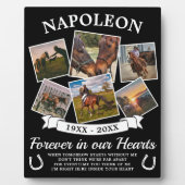 Gedenkpaard ter herinnering fotoplaat (Voorkant)