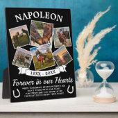 Gedenkpaard ter herinnering fotoplaat (Zijkant)