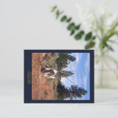 Gedenkschriften van Prarie Briefkaart (Staand voorkant)