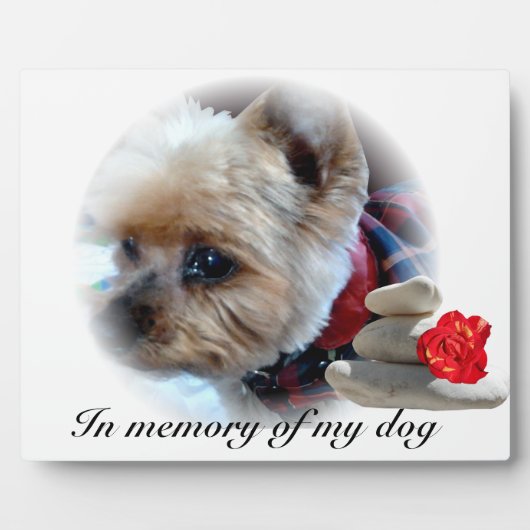 gedenkteken fotoplaat (Voorkant)