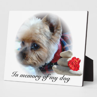 gedenkteken fotoplaat