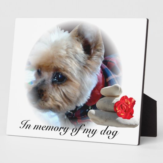 gedenkteken fotoplaat (Zijkant)