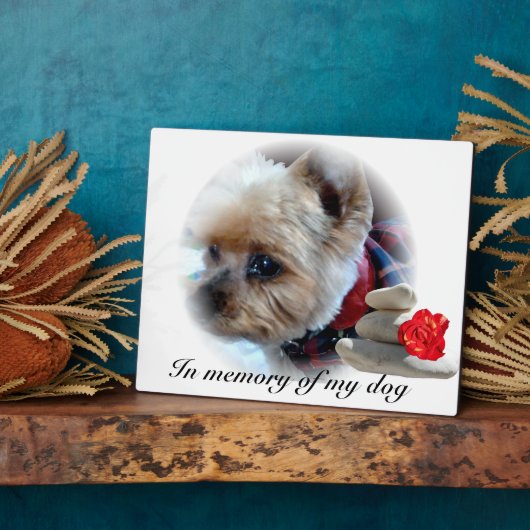 gedenkteken fotoplaat (Zijkant)