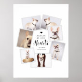 Gedenkteken huisdier Gepersonaliseerd collage met Poster (Voorkant)