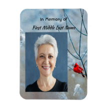 Gedenkteken Keepsake Kardinaal Red Bird