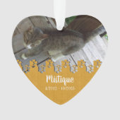 Gedenkteken voor huisdieren Geliefde herinnering Ornament (voorkant)