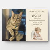 Gedenkteken voor kattenhuisdieren fotoplaat (voorkant)