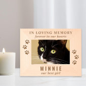 Gedenkteken voor kattenhuisdieren gegraveerde lijstjes