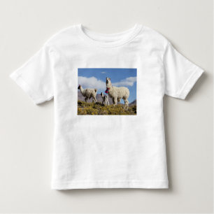 Gedeormeerde lama in de Puna, bergen van de Andes  Kinder Shirts