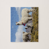 Gedeormeerde lama in de Puna, bergen van de Andes  Legpuzzel (Verticaal)