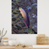 Gedestilleerd kunstvisportret poster (Keuken)